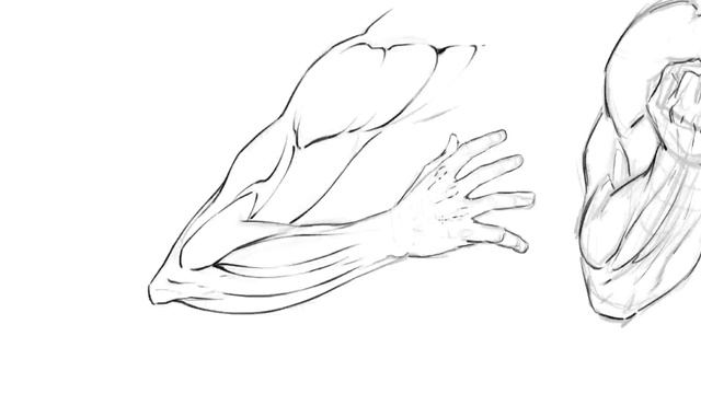 Lesson 15. Drawing Various Arm Poses Practice Activity смотреть онлайн