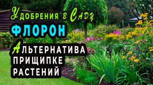 Удобрение Флорон - альтернатива прищипке растений Мгновенный эффект