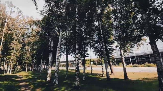 VID 20230708 165653 Строфы о Праге (Витезслав Незвал)...Павел Васильев Лахтинский смотреть онлайн