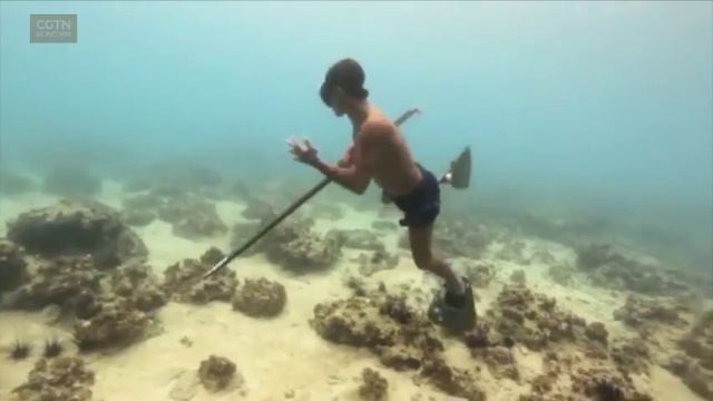 Подводные охотники - мореплаватели баджо смотреть онлайн