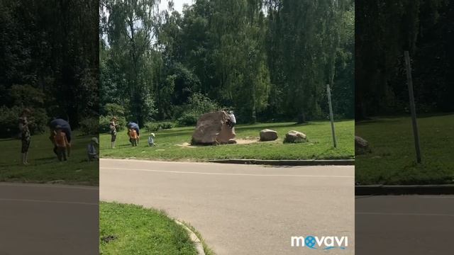 Прогулка в Ботаническом саду ВДНХ смотреть онлайн