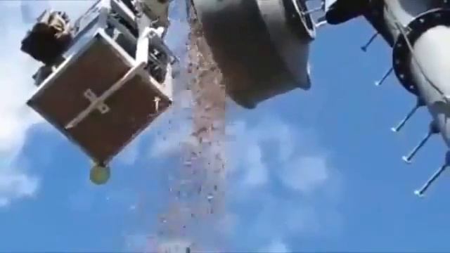 Белка осталась без своих запасов