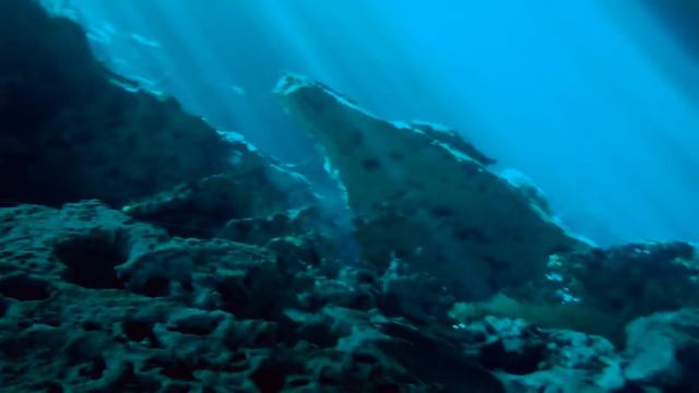 Cenotes with Planet Scuba Mexico 2018 - PREVIEW смотреть онлайн