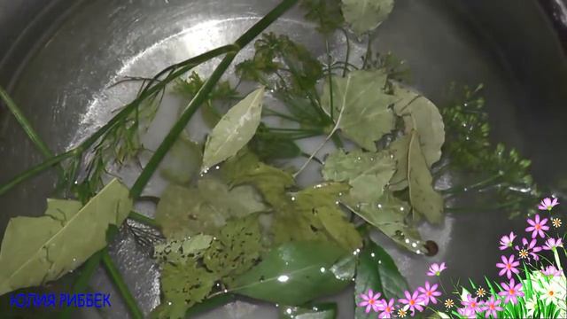 Уроки Живописи