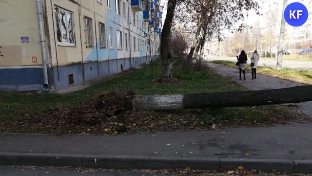 Последствия урагана в Татарстане смотреть онлайн