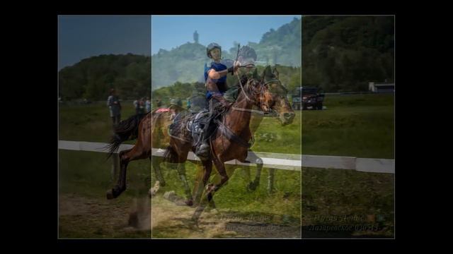 Скачки Лазаревское 030513 Слайд-шоу смотреть онлайн