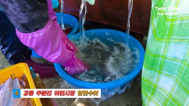 Gangneung Market Tour / Fish Market, Slices of raw Fish, Flatfish, Squid Sashimi, Pancakes, 4K