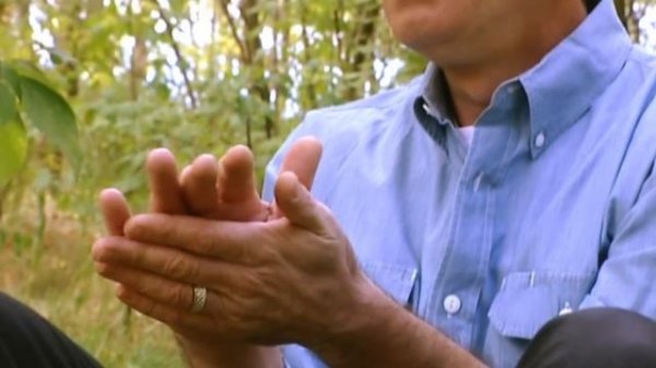 The Mid-Air Collision Of Flight 2937 And Flight 611 | Mayday S2 EP4 | Wonder