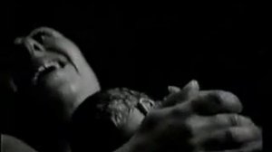 Спонтанное рождение двойни