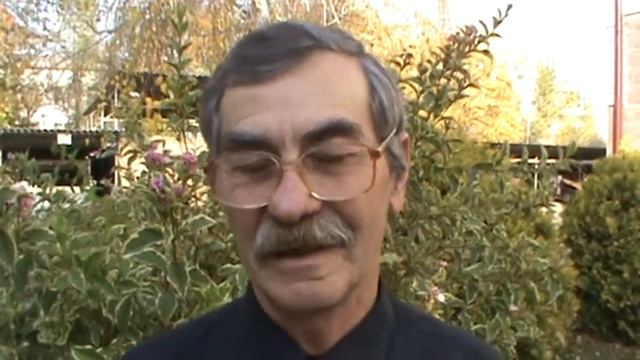 Гелиотараксия-влияние солнечной активности на психическое состояние людей и всей планеты! смотреть онлайн