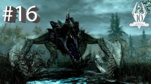 The Elder Scrolls V: Skyrim #16. Цифры