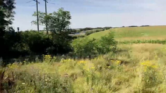#3 Ростовская область. На море на машине Спб-Сочи. смотреть онлайн