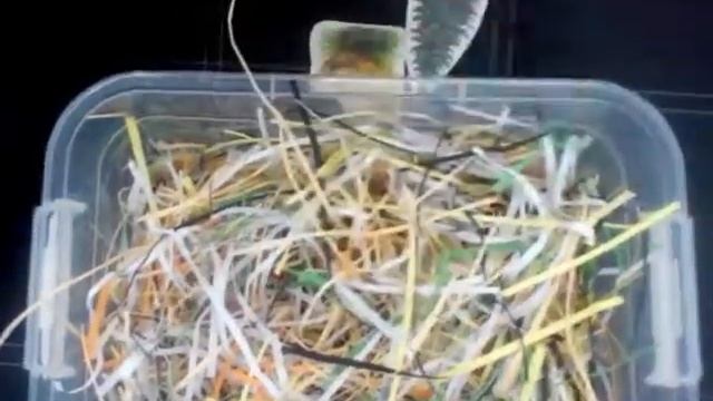 Сенсорная коробка для неговорящих детей 2-3 лет смотреть онлайн