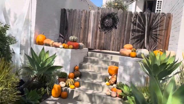 День Из Жизни 19-ти Летнего Трейдера В Америке???? смотреть онлайн