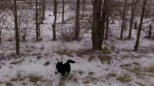 Пуля в работе смотреть онлайн