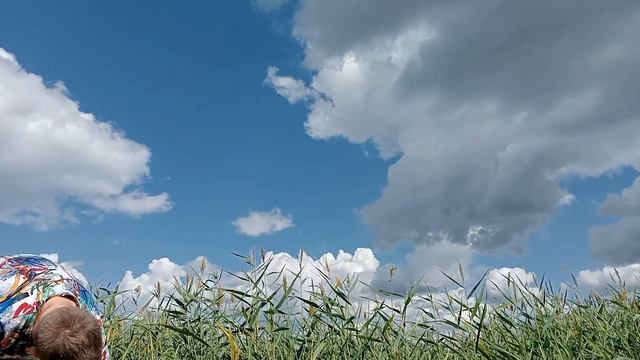 Ломаем микроволновку чЕЕЕк смотреть онлайн