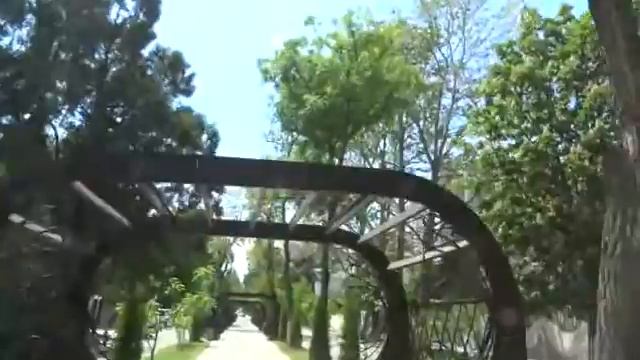 Белая Акация, цветущая Анапа смотреть онлайн