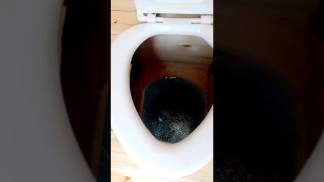 Деревянный Туалет ПОД КЛЮЧ на Даче #shorts смотреть онлайн