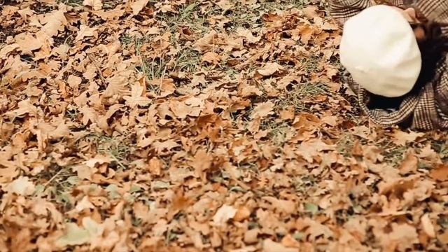 Атмосферная осень смотреть онлайн