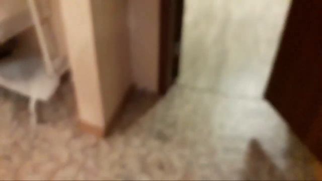 Моё утро в выходной смотреть онлайн