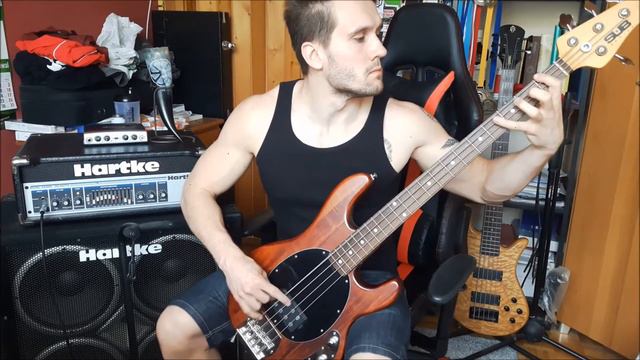 Wishmaster by Nightwish Bass Cover смотреть онлайн