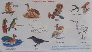 Занятие для детей 5-6 лет.Встречаем весну!