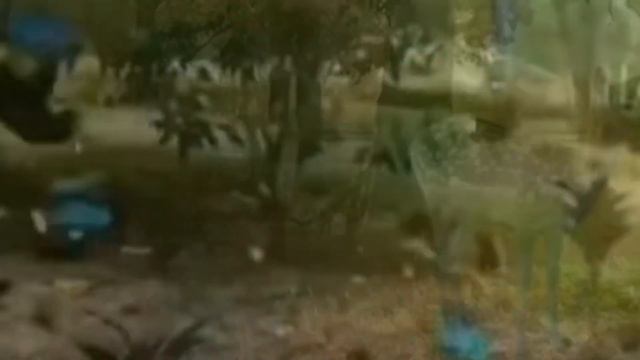 Парад созвездий смотреть онлайн