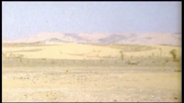 Sahara 1979
