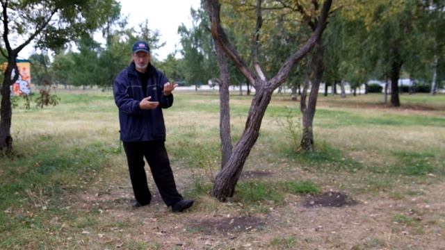 комментарии к свзки образования шара смотреть онлайн