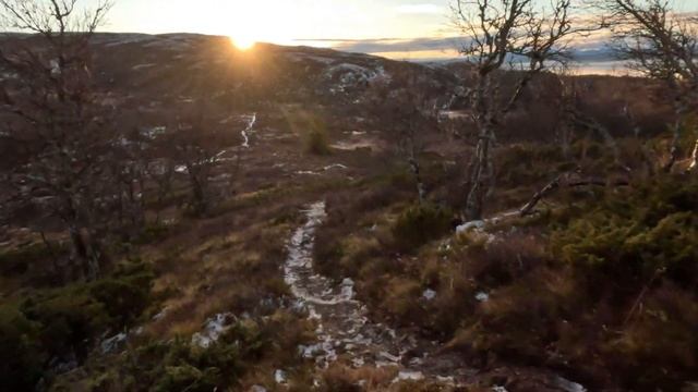 Scenic Video for Treadmill Run ~ 30 Minute Workout, with Music ? смотреть онлайн