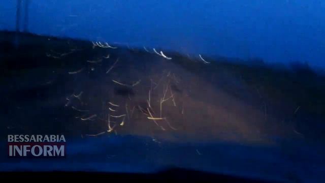 Комары атакуют отдыхающих смотреть онлайн