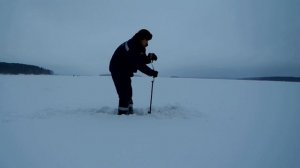 ?Март. Волчихинское водохранилище. Зимняя рыбалка.