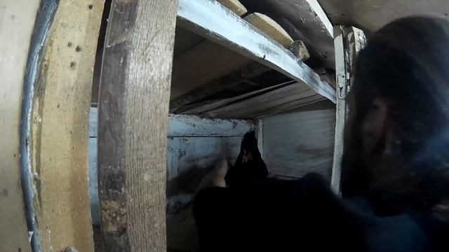 Умные они, ёшкин кот/ Наседка и цыплята смотреть онлайн