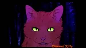 Коты воители  - Огнезвёзд и Бич