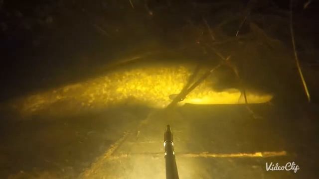 ПО Орель июнь 2018 смотреть онлайн