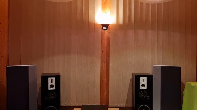 Усилитель Yorkville 2×500 Вт и Dali 800 – любительский обзор от Макса