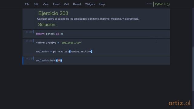 Pandas - Ejercicio 203: Calcular del Salario de los Empleados el Mínimo, Máximo, Mediana, y Promedi смотреть онлайн