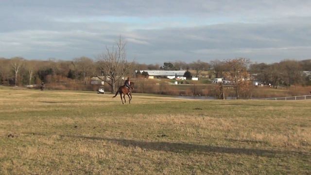 Tx Rose Feb 2019 Grace XC 1 смотреть онлайн