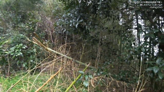 【購入記＆戦跡】アナ(穴)リストが選んだBESTアクションカム＆東金の未成地下壕で試運転 [字幕あり] смотреть онлайн