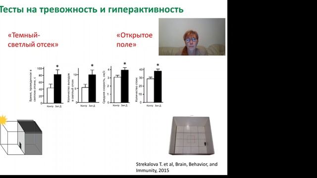 Татьяна Стрекалова. РосБиоТех-2020 смотреть онлайн