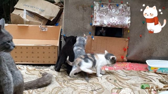 Meow Meow ?I Love My Mom смотреть онлайн