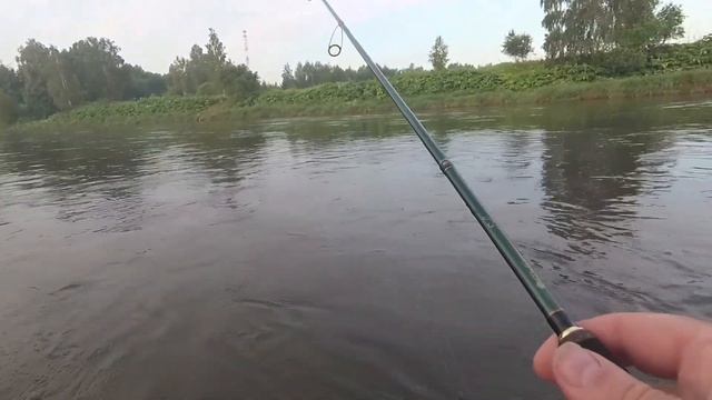 Голавль верхней Москвы-реки. Ловля на кренки. смотреть онлайн