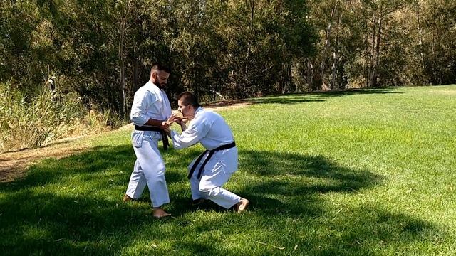 BUBISHI in KARATE - The 48 diagrams of self defense смотреть онлайн