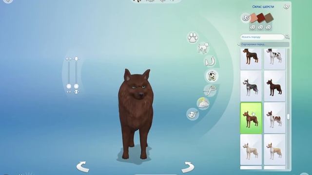 Как создать питомца в Cas в Sims 4 смотреть онлайн