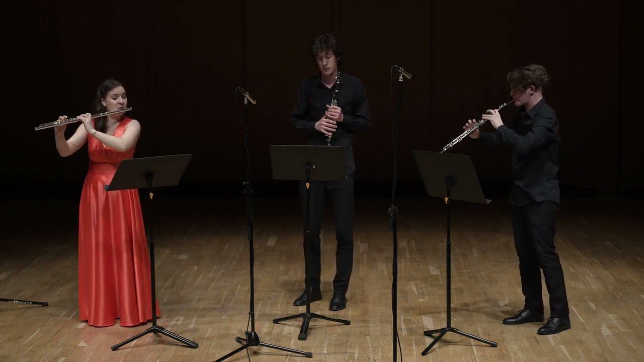 Э .Бозза «Маленькая сюита для трио». Исполняют: Анастасия Зыбина, Никита Карасёв, Данила Силкин смотреть онлайн