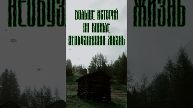 Дедок Мне Тут Историю Рассказал | Мистические Интересные Истории | Необузданная Жизнь #shorts смотреть онлайн