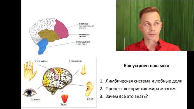 Страх и тревога - что происходит с мозгом смотреть онлайн