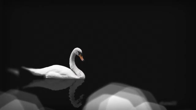 Наташа Королёва-Синие лебеди. Cover guitar #Viktoriia_Savedchuk смотреть онлайн