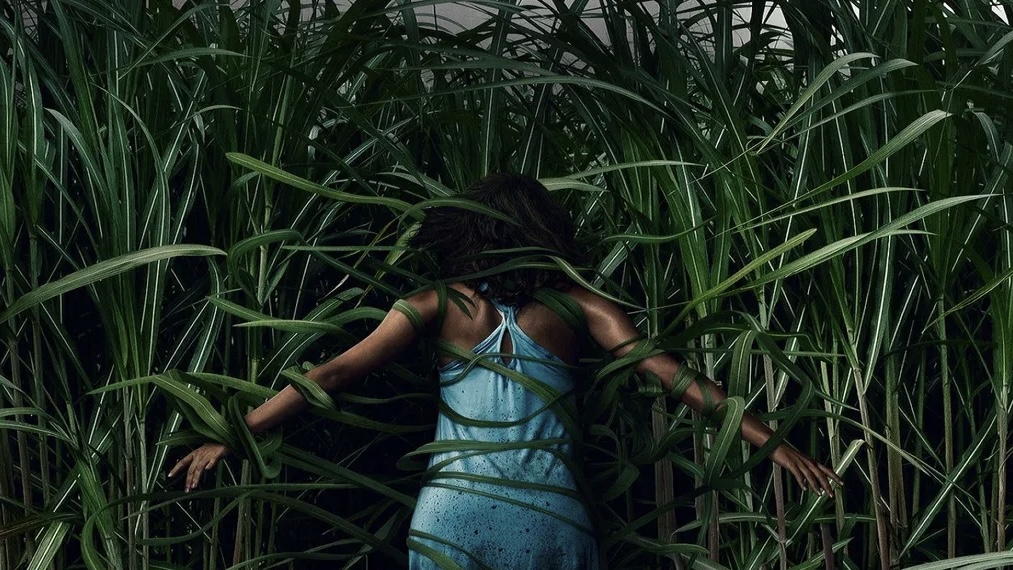 Высокая зелёная трава | In the Tall Grass (2019) смотреть онлайн