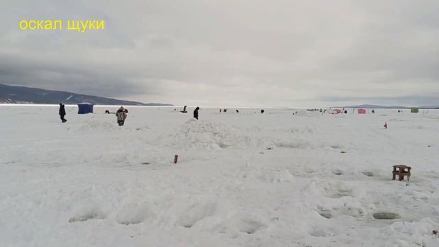 Рыбалка самодурами на корюшку Низовья Амура смотреть онлайн